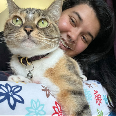 a cat wearing a collared shirt