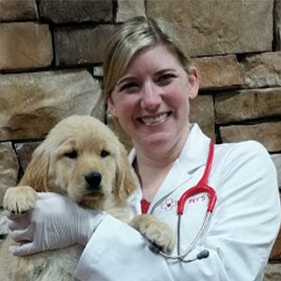 a person holding a dog