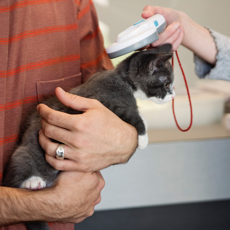 a man holding a cat