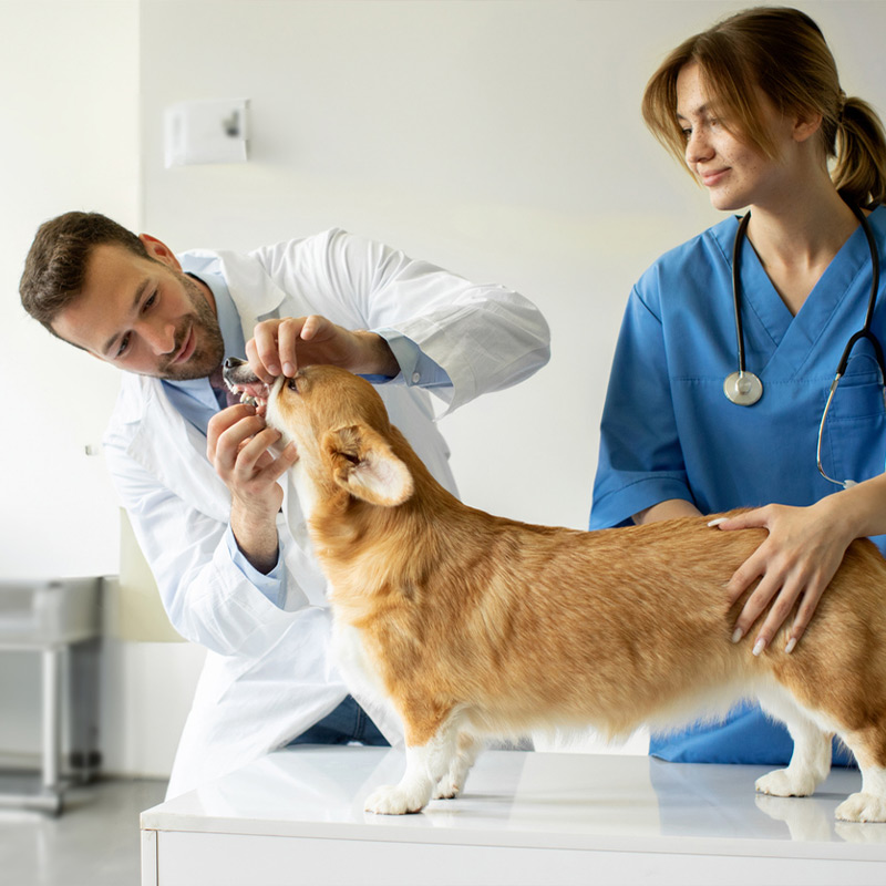 a man standing next to a dog