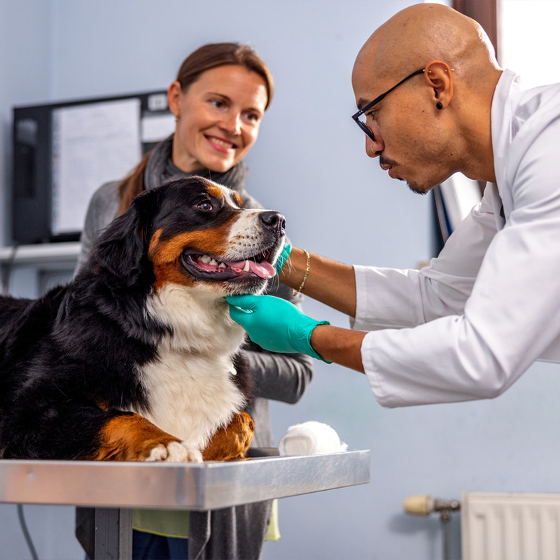 a man holding a dog