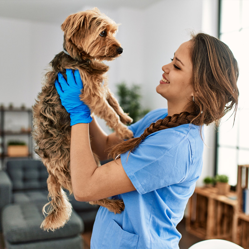 a woman holding a dog
