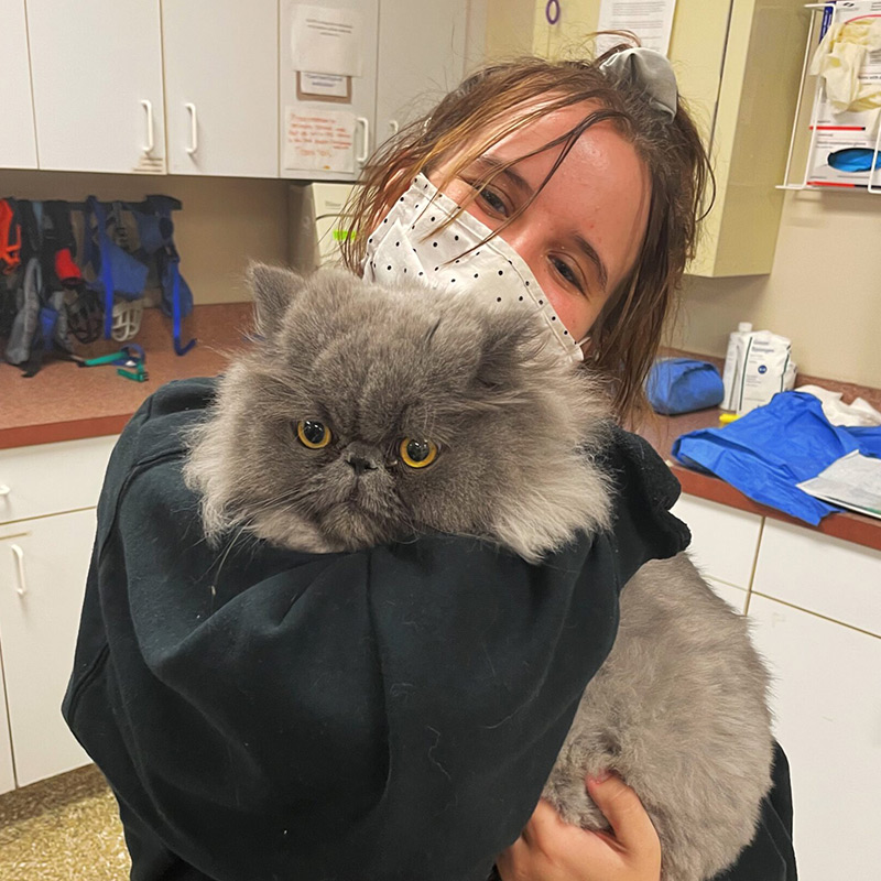 a person holding a cat
