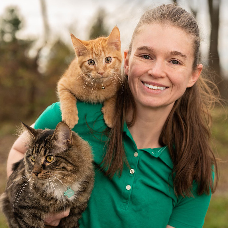 a cat wearing a green shirt