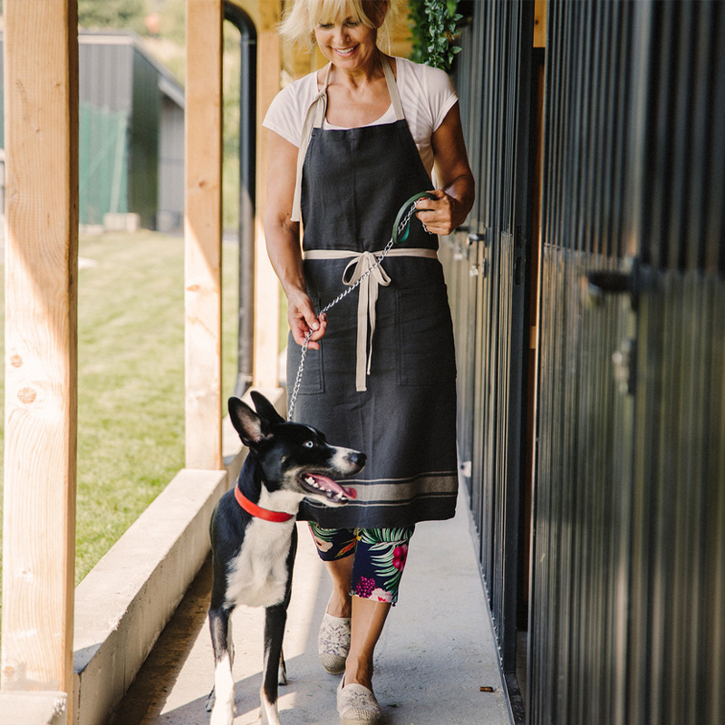 a man and a dog on a leash standing on a sidewalk