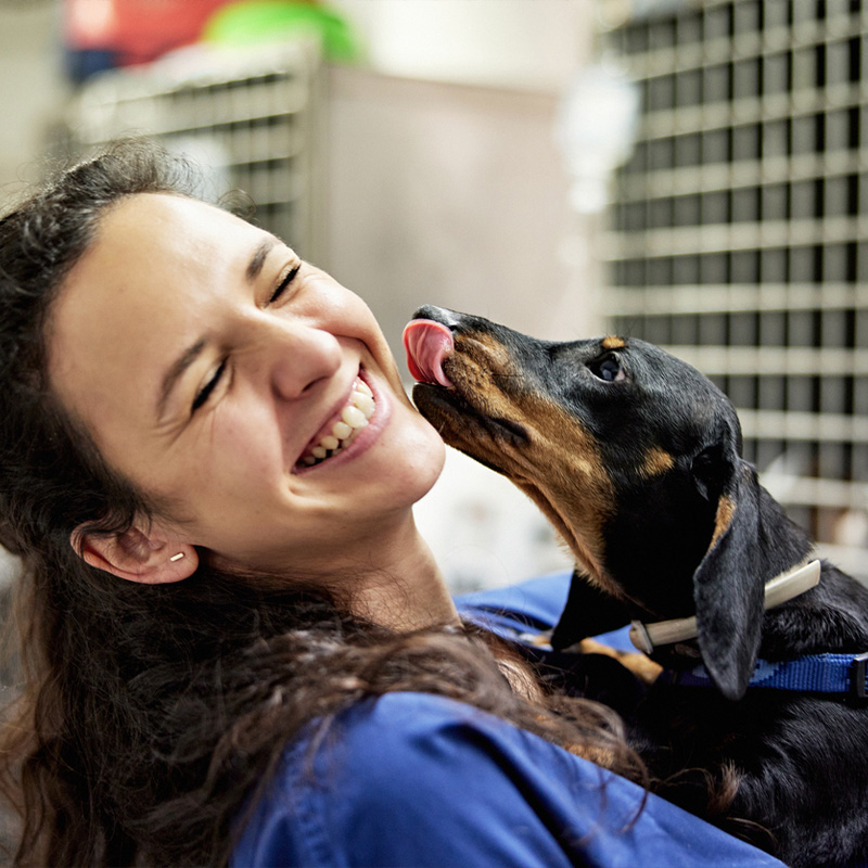 a person holding a dog