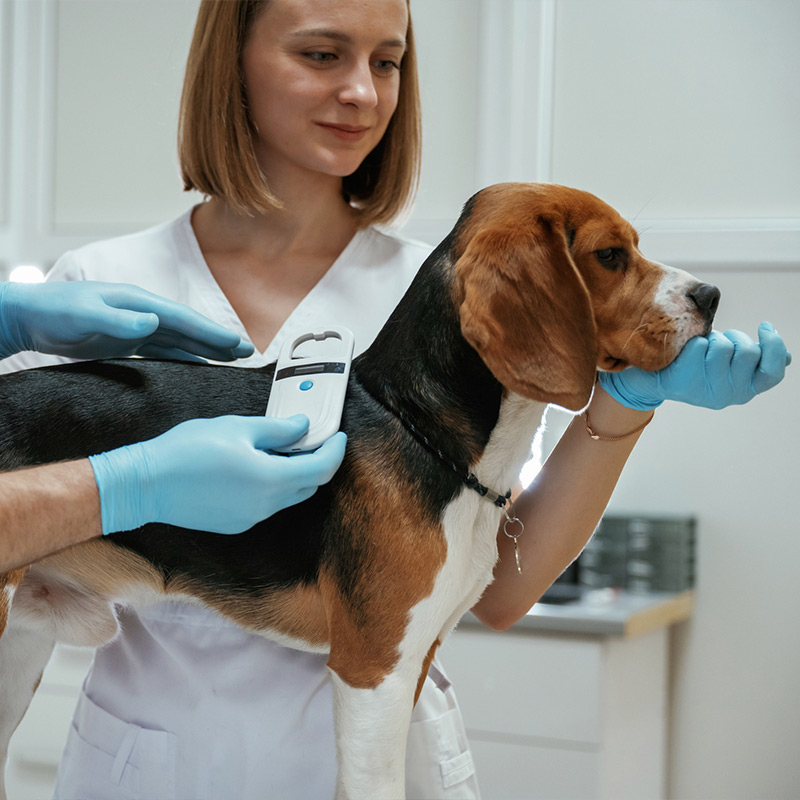 a woman holding a dog