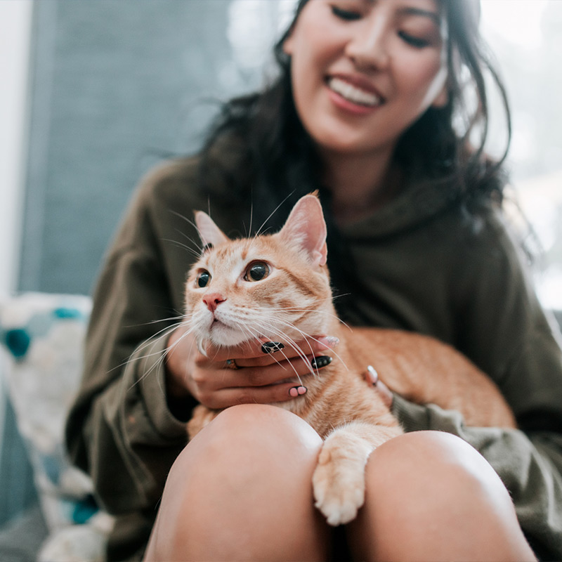 a woman holding a cat