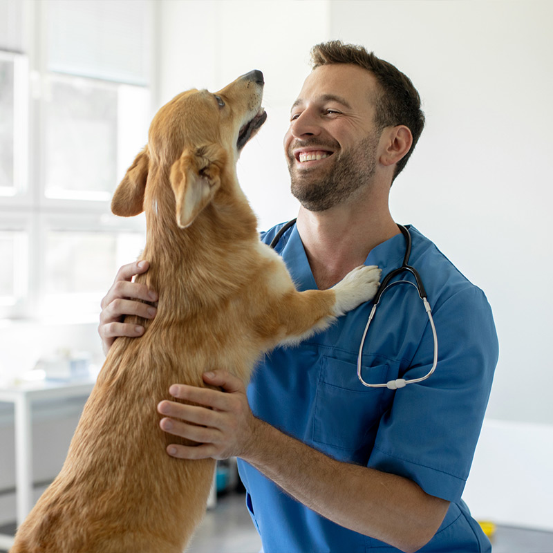 a man holding a dog