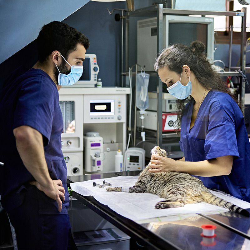 a man and woman preparing food in a kitchen