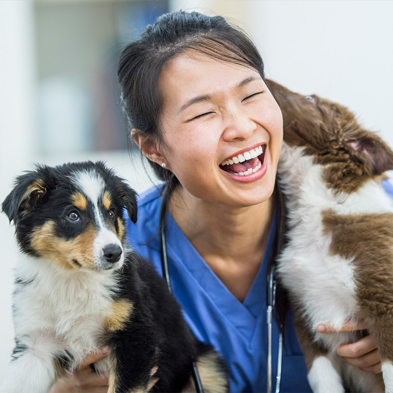 a person holding a dog posing for the camera